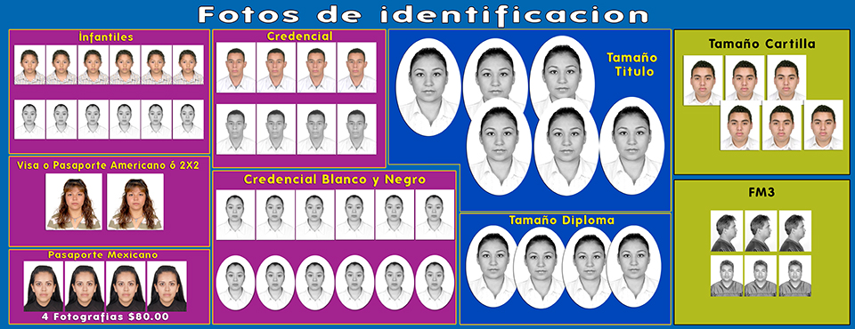 Foto Identificación Foto Plu
